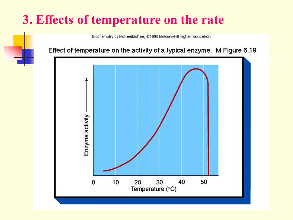 Investigating effect of temperature on the activity of lipase